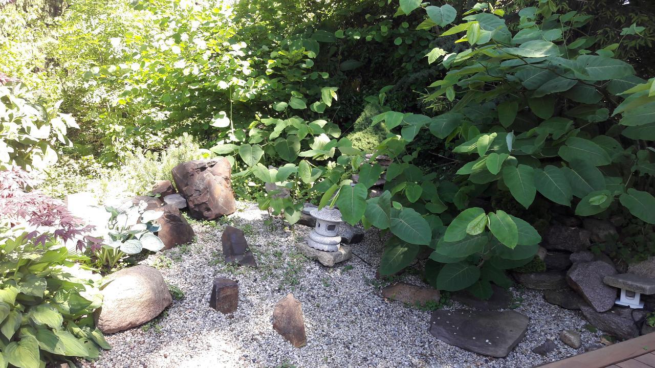 Ferienwohnungen Amsel und Nachtigall Haus Vogelhochzeit Lübbenau Exterior foto