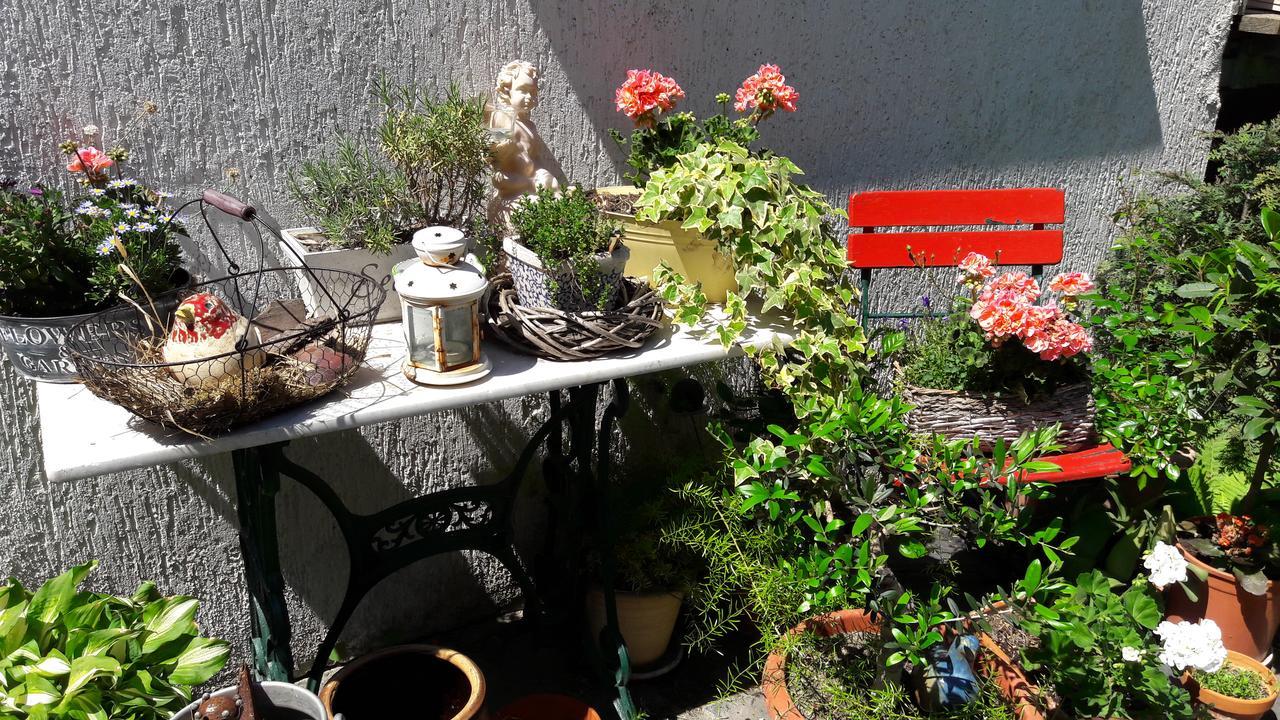 Ferienwohnungen Amsel und Nachtigall Haus Vogelhochzeit Lübbenau Exterior foto