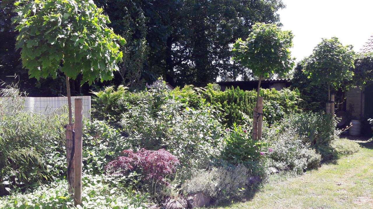 Ferienwohnungen Amsel und Nachtigall Haus Vogelhochzeit Lübbenau Exterior foto