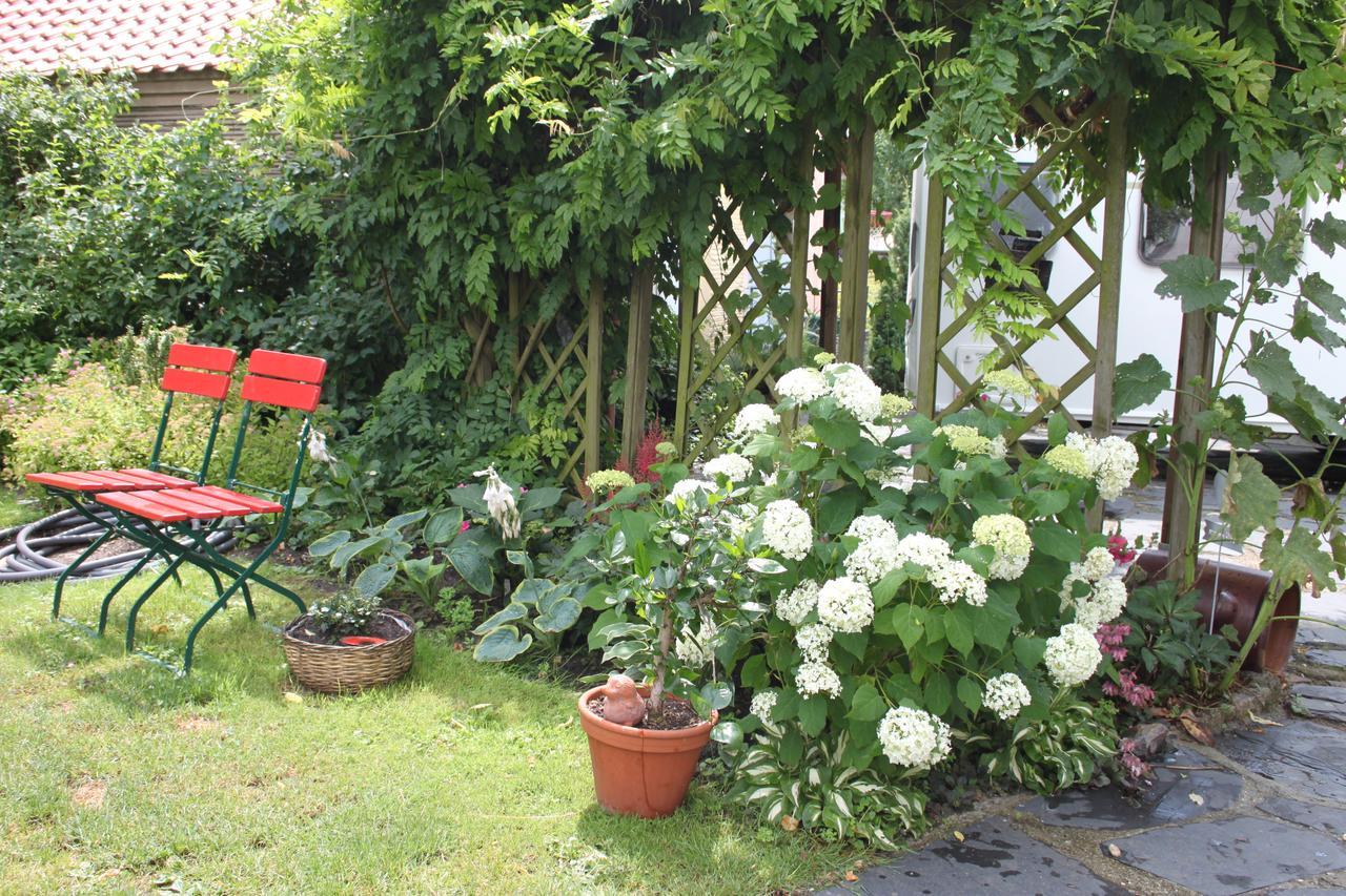 Ferienwohnungen Amsel und Nachtigall Haus Vogelhochzeit Lübbenau Exterior foto